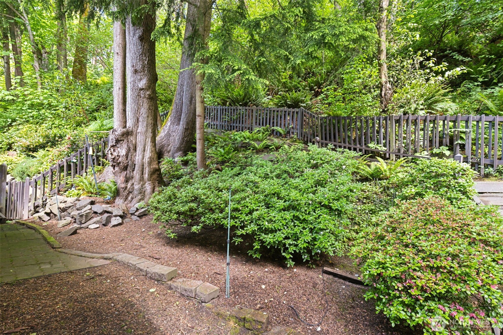 5019 East Mercer Way Mercer Island, WA 98040 - Photo 23 of 31 a backyard of a house with lots of green space