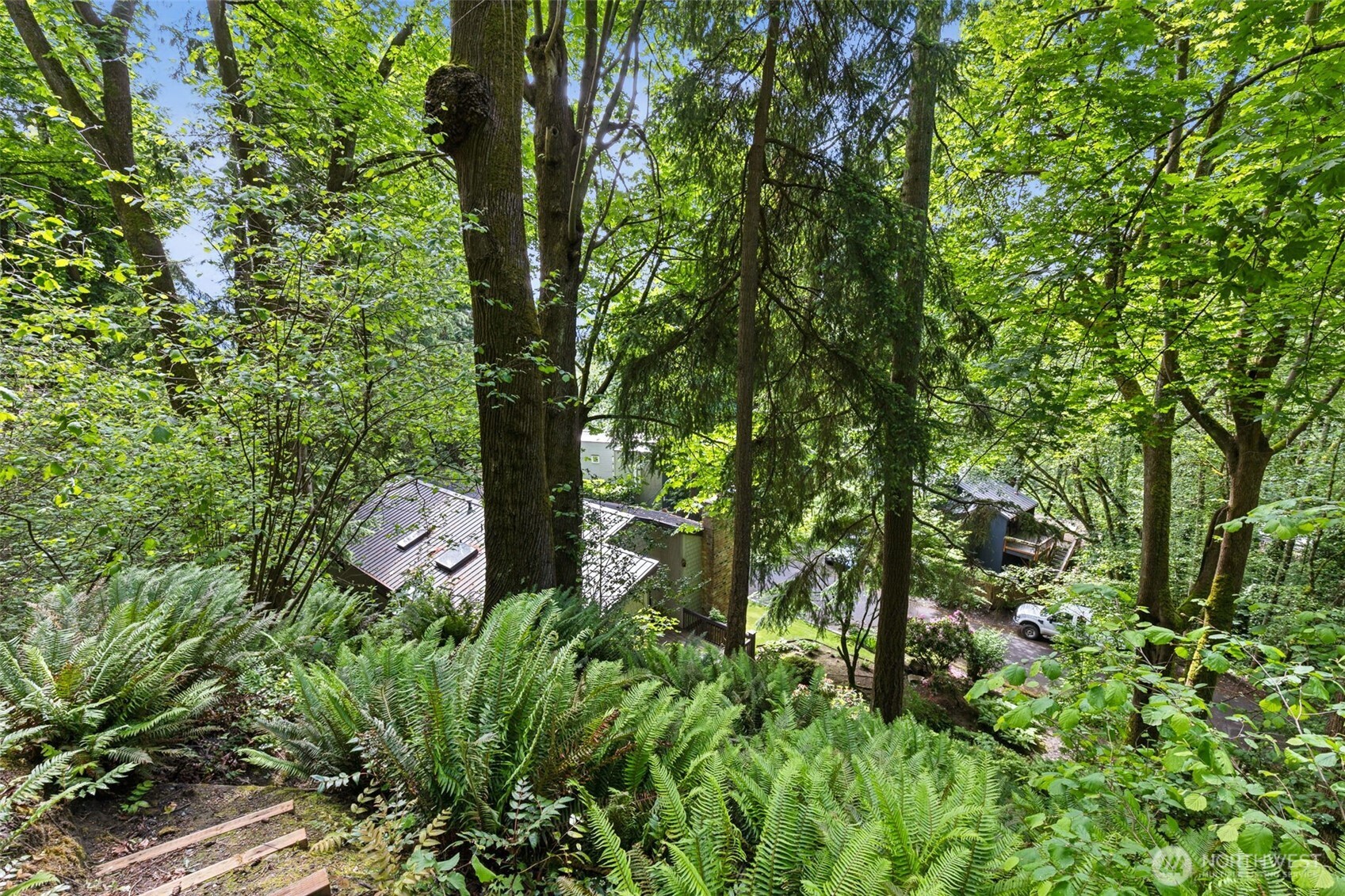 5019 East Mercer Way Mercer Island, WA 98040 - Photo 25 of 31 a view of a forest with a tree