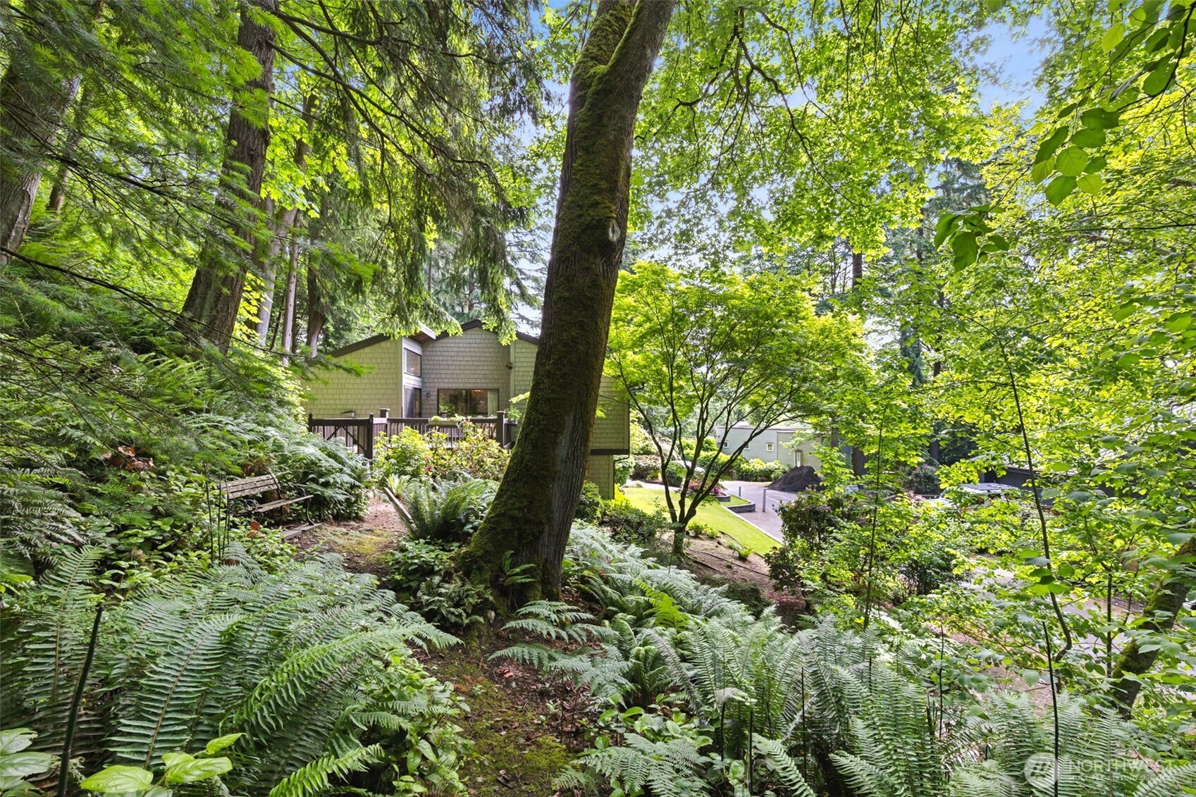 5019 East Mercer Way Mercer Island, WA 98040 - Photo 26 of 31 a view of a house with a tree