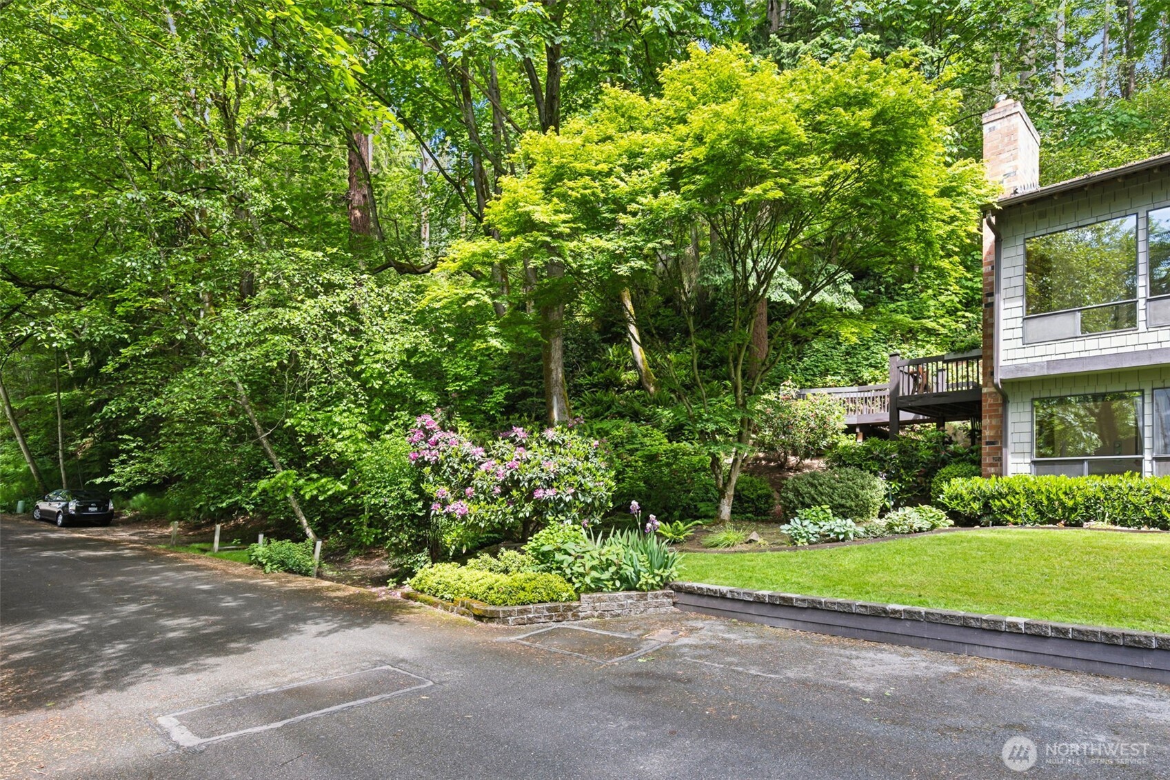 5019 East Mercer Way Mercer Island, WA 98040 - Photo 30 of 31 a view of a garden with plants and large trees