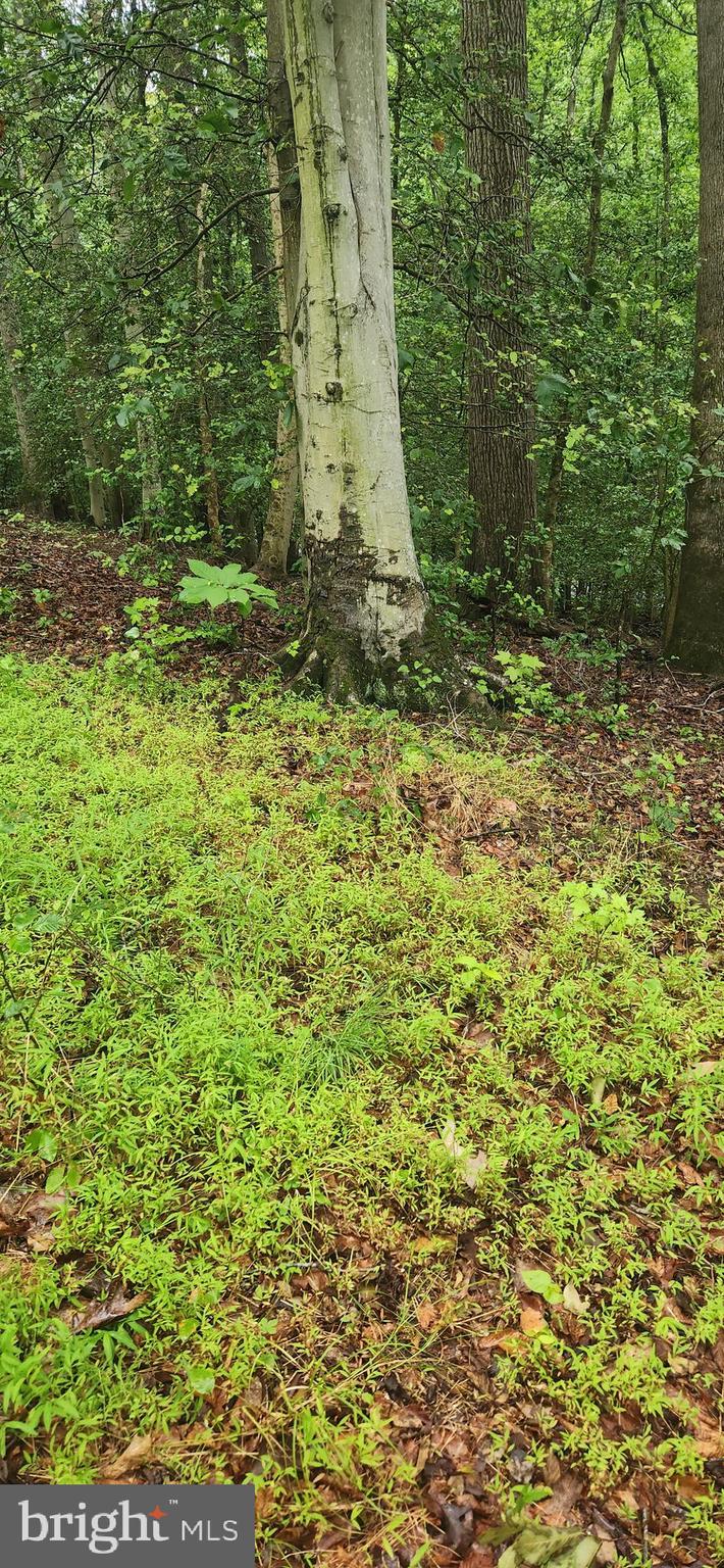 Poorhouse Rd Port Port Tobacco, MD 20677 - Photo 2 of 5