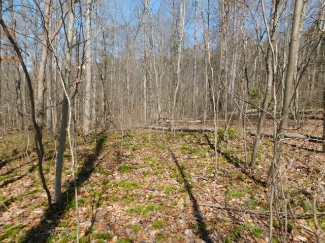 30694 North Fairview Road Logan, OH 43138 - Photo 6 of 7 038