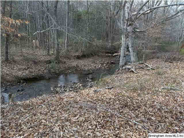 Turkey Pen Road, Unit 1 Cragford, AL 36255 - Photo 6 of 6