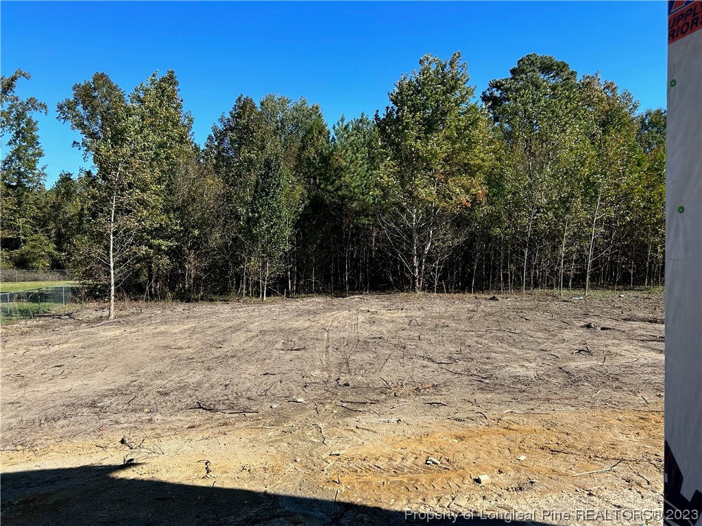 325 Ray Byrd Road Lillington, NC 27546 - Photo 6 of 23 a view of a yard with trees
