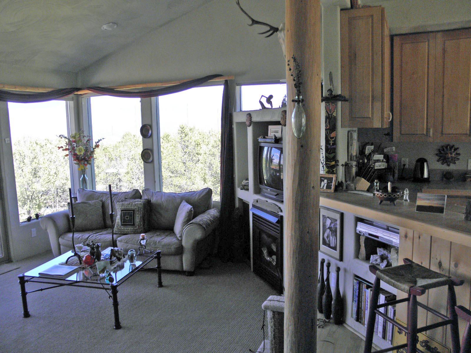 294 Juniper Road North Ridgway, CO 81432 - Photo 21 of 35 living room 1