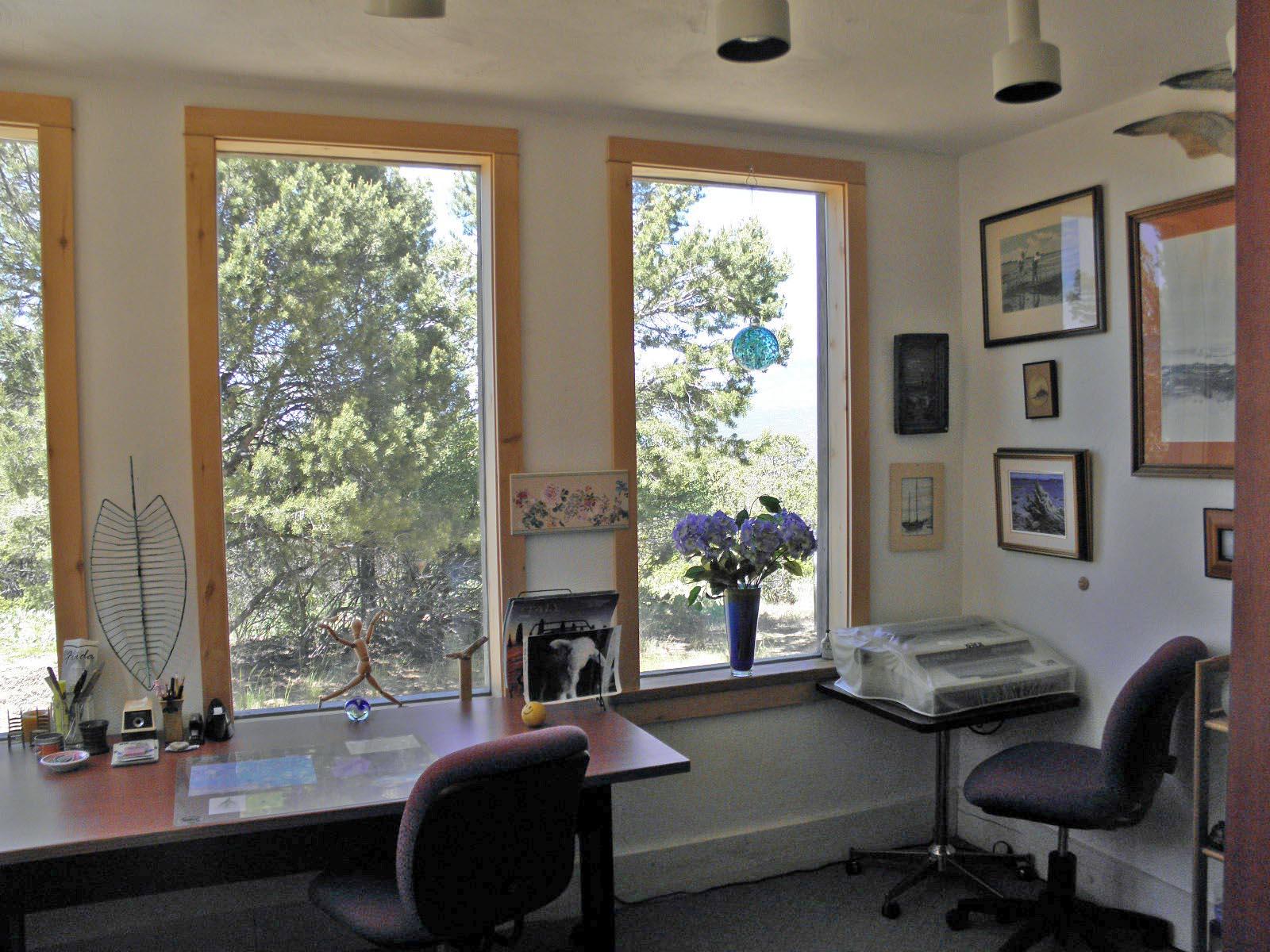 294 Juniper Road North Ridgway, CO 81432 - Photo 28 of 35 office 1