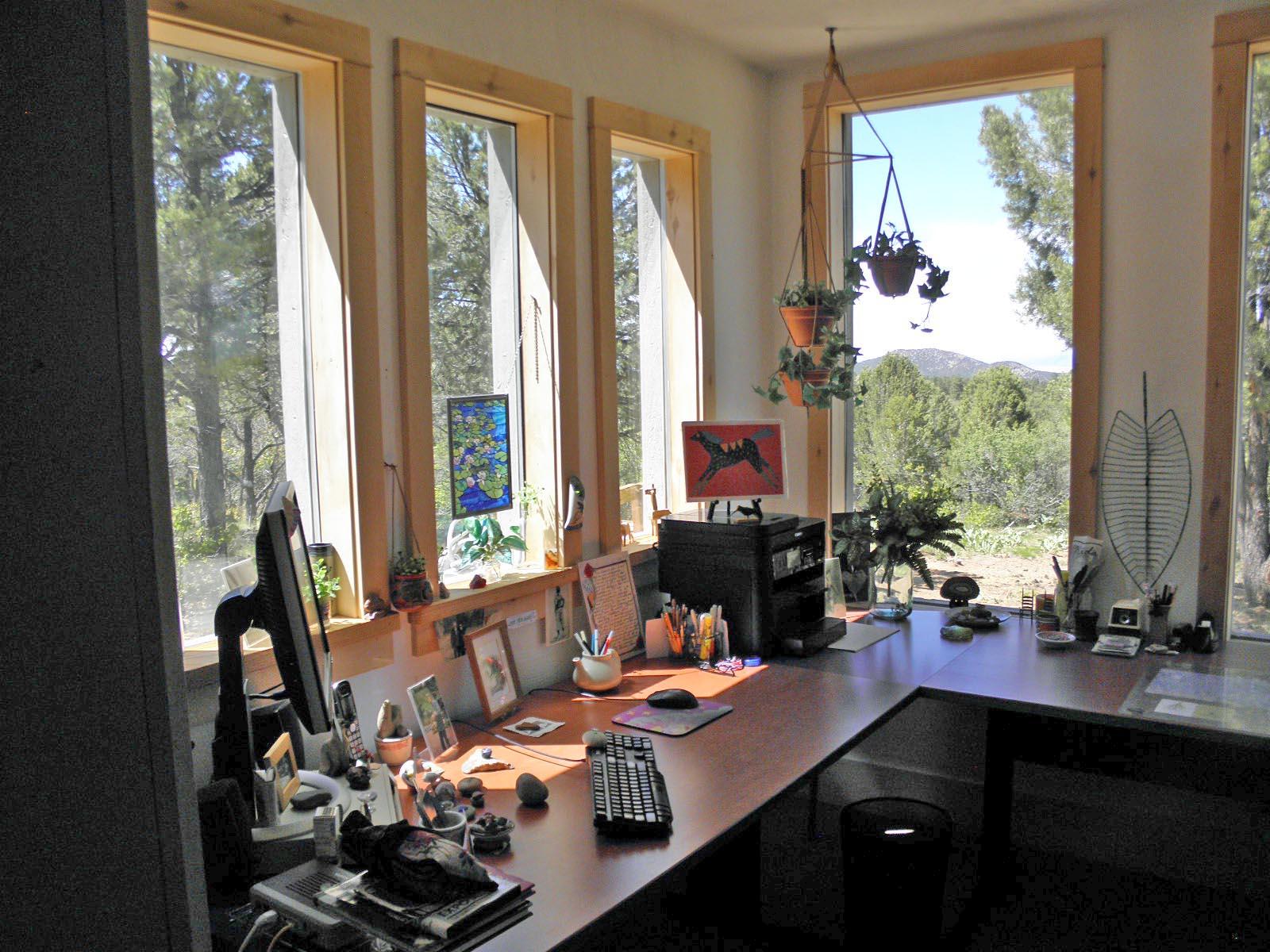 294 Juniper Road North Ridgway, CO 81432 - Photo 29 of 35 office 2