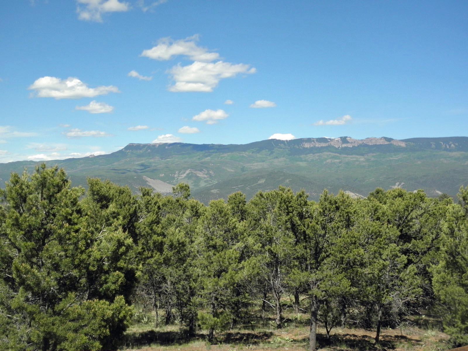 294 Juniper Road North Ridgway, CO 81432 - Photo 32 of 35 view of Buckhorn
