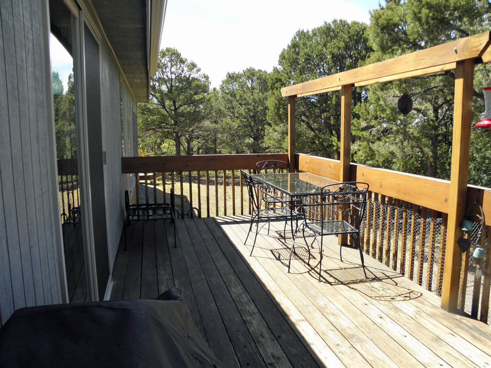 294 Juniper Road North Ridgway, CO 81432 - Photo 6 of 35 deck section off master