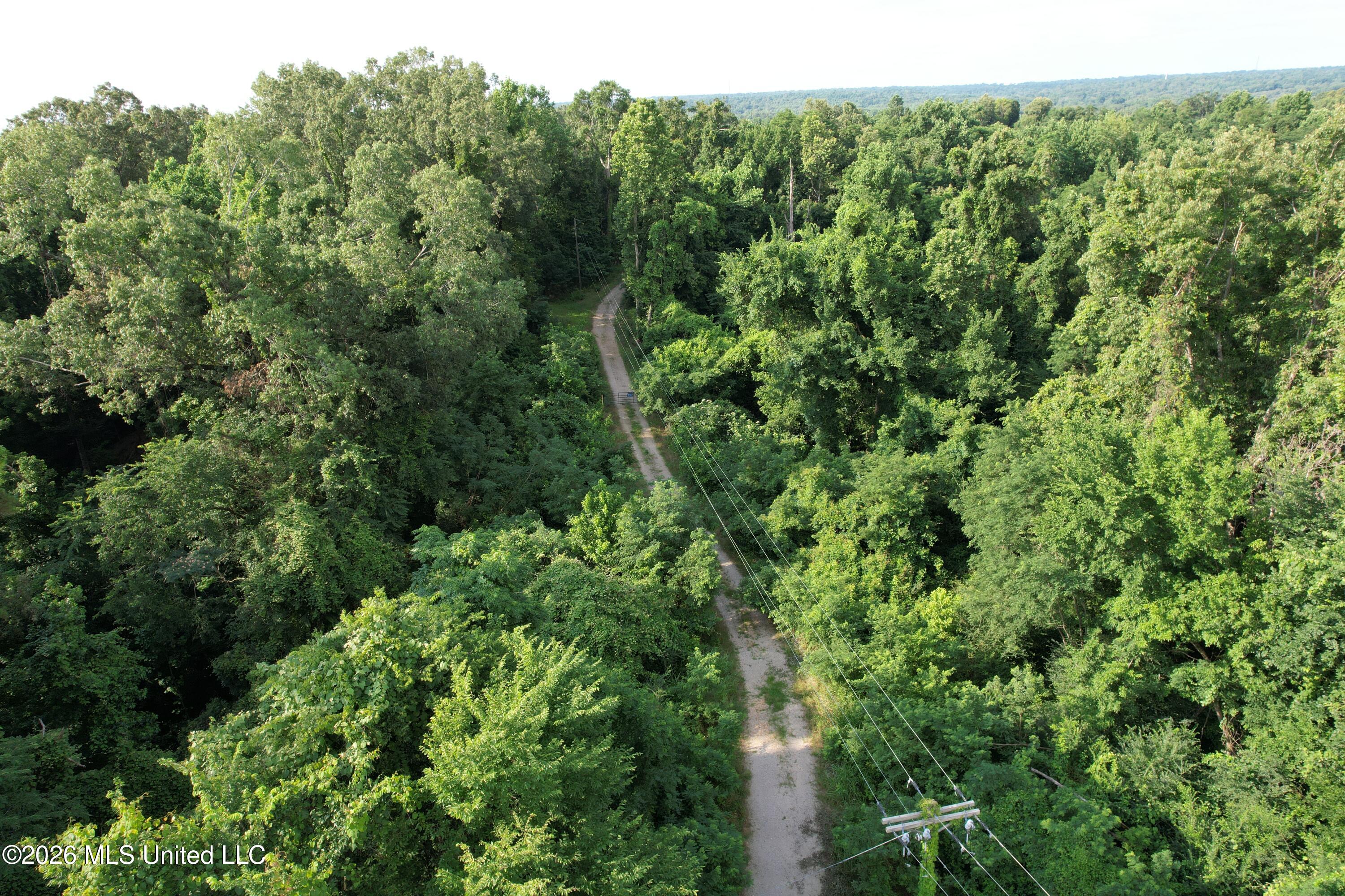 1181 Gowall Road Vicksburg, MS 39183 - Photo 6 of 43 DJI_0555