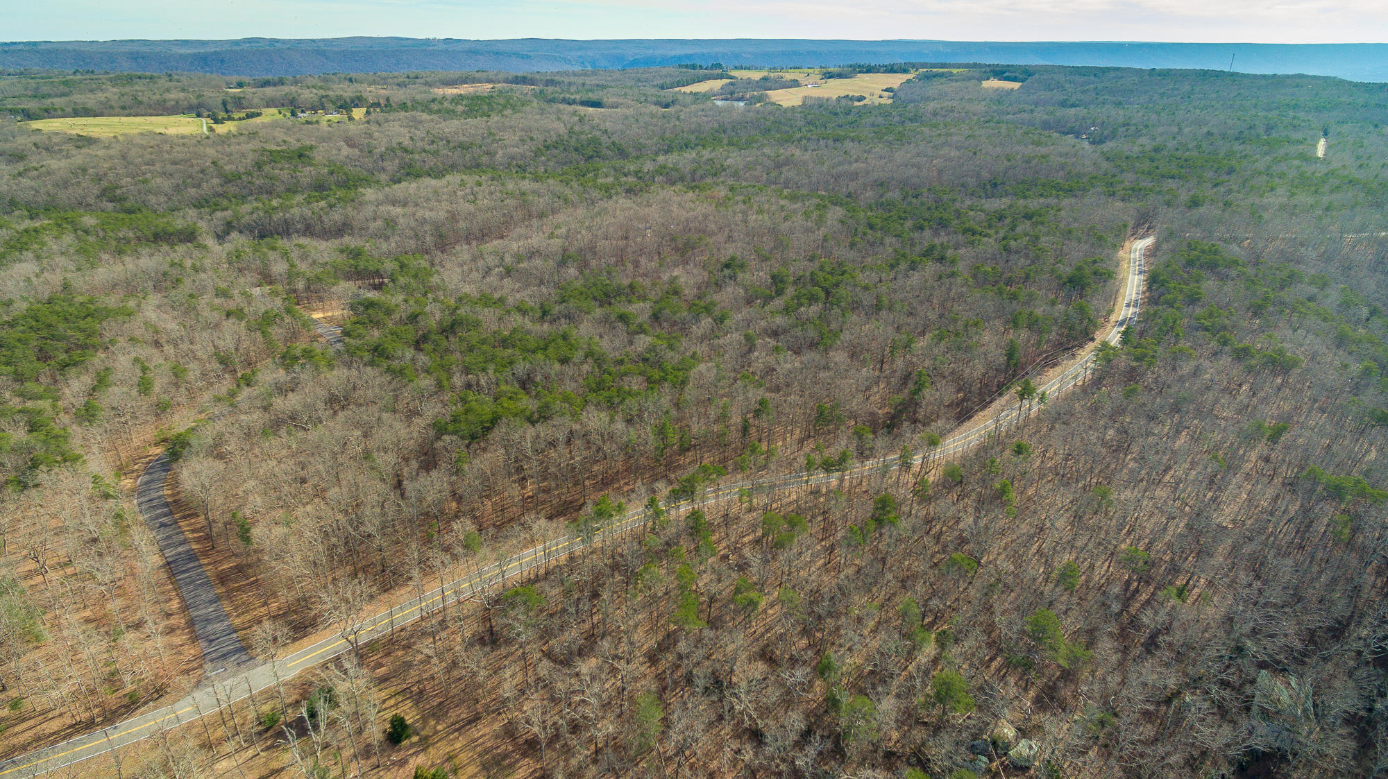 O Sunset Drive, Unit TRACT 1 Rising Fawn, GA 30738 - Photo 4 of 11 Sunset Drive Property-39