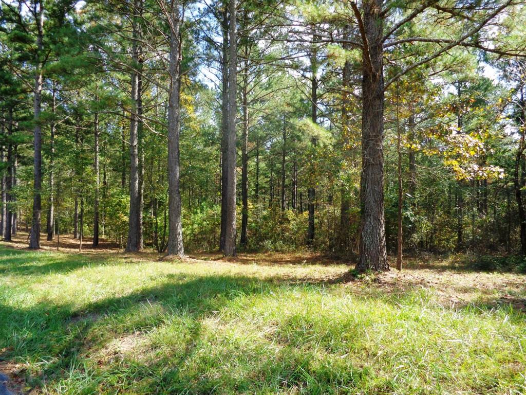 Lot 7 Macedonia Road White, GA 30184 - Photo 1 of 1 Gallery Image 1