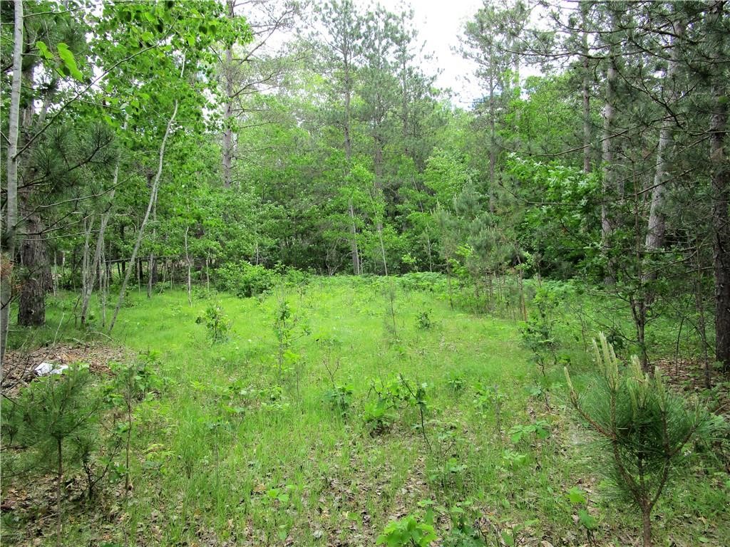 Lot 111-112 Bridle Road Webster, WI 54893 - Photo 3 of 3