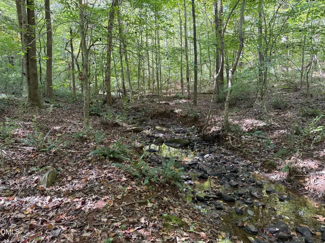 a view of outdoor space and green space