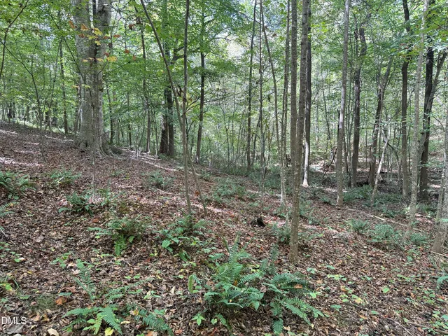 a view of outdoor space and green space
