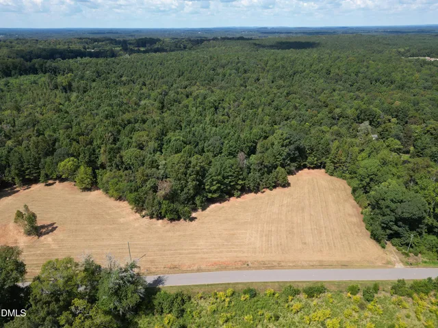 a view of a dry yard with large trees