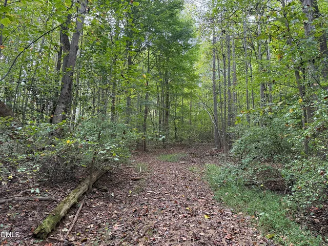 a view of a large yard with lots of green space