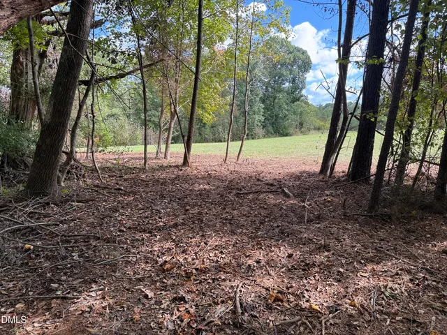 a view of backyard with tree