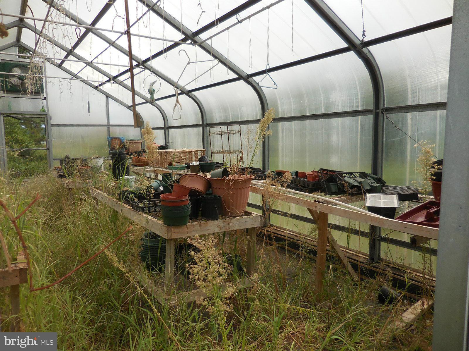 4861 Fairbank Road Tilghman, MD 21671 - Photo 5 of 14 Greenhouse