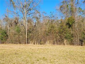 82408 Owen Sharp Road Bush, LA 70431 - Photo 3 of 9