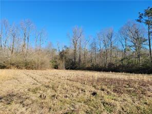 82408 Owen Sharp Road Bush, LA 70431 - Photo 4 of 9