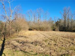 82408 Owen Sharp Road Bush, LA 70431 - Photo 6 of 9