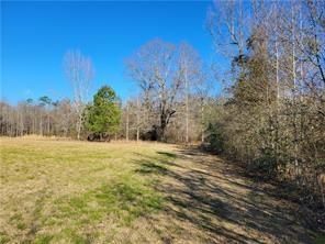 82408 Owen Sharp Road Bush, LA 70431 - Photo 7 of 9