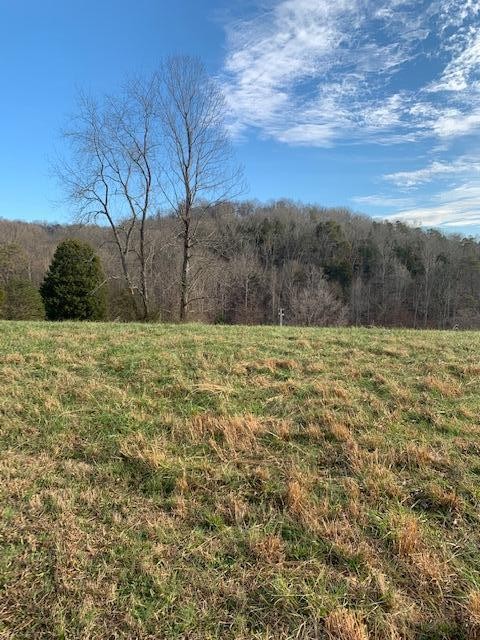 135 Hughes Road Greenback, TN 37742 - Photo 9 of 15