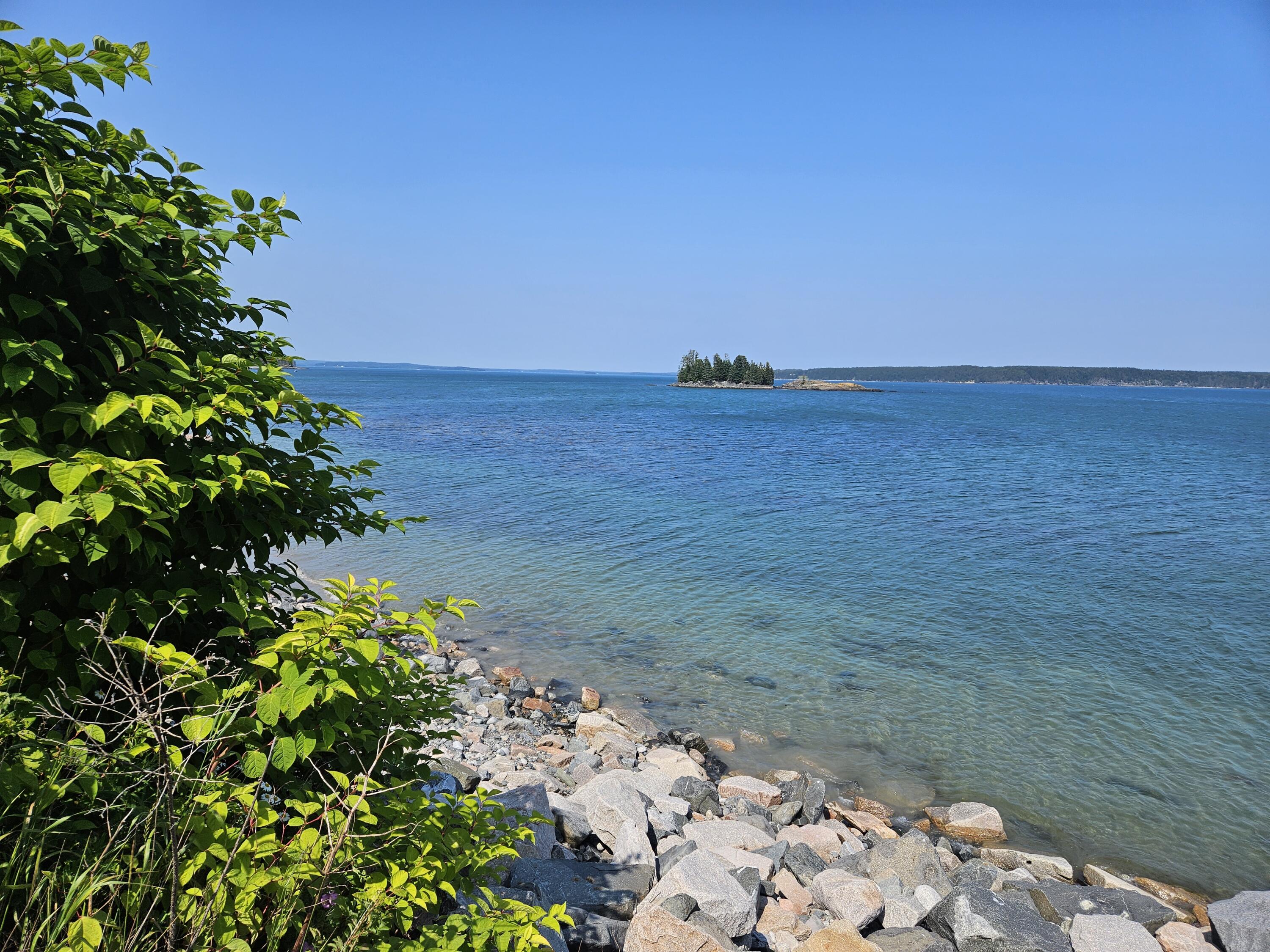 541 Mason Bay Road Jonesport, ME 04649 - Photo 82 of 92