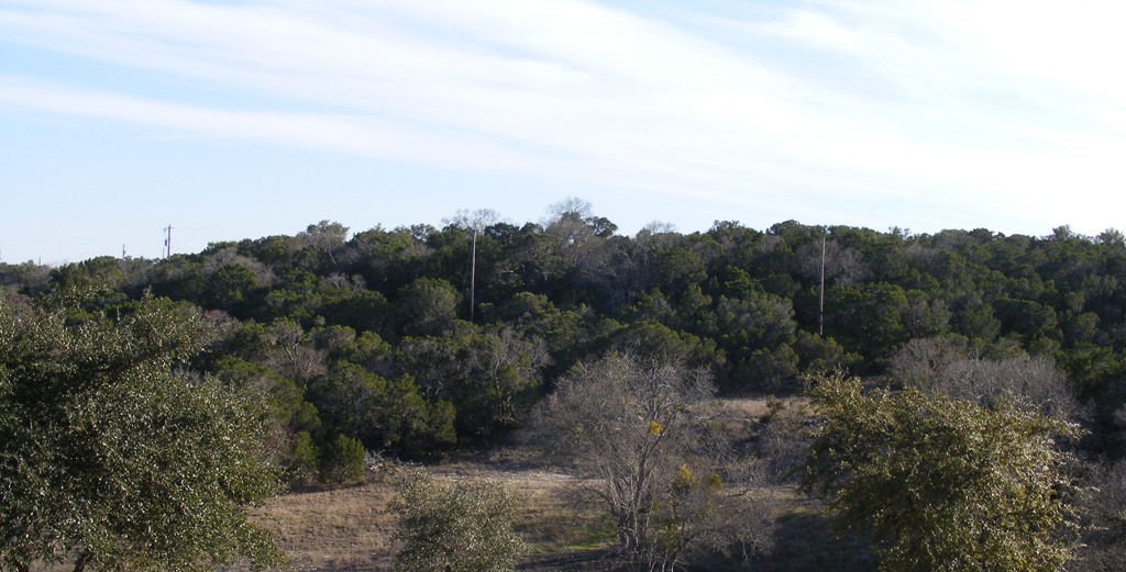 19920 Old Burnet Road Jonestown, TX 78645 - Photo 8 of 29 Back of Lot hilltop and sloping downward northerly towards the back