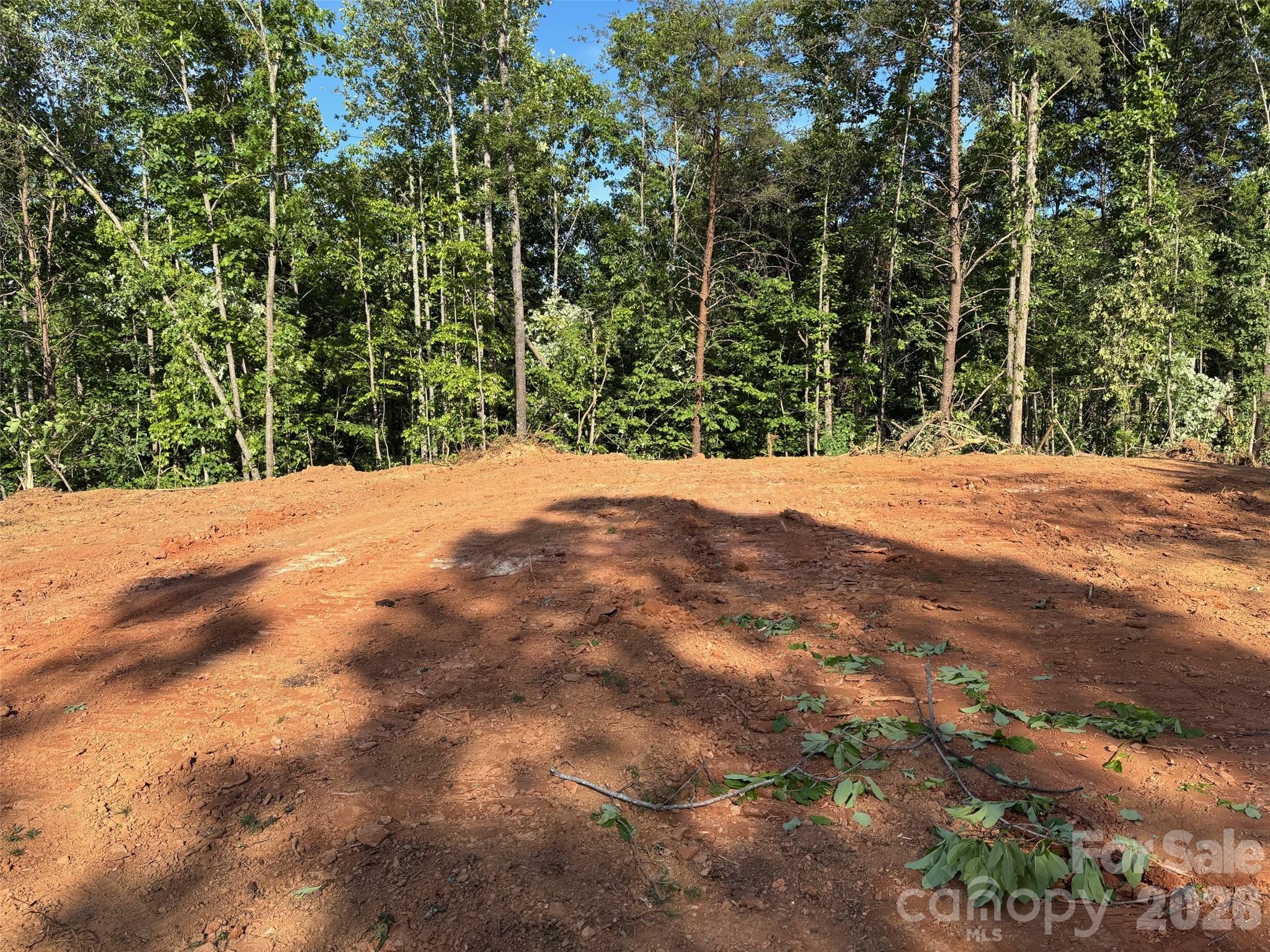 Tbd Vein Mountain Road, Unit 6 Nebo, NC 28761 - Photo 14 of 15