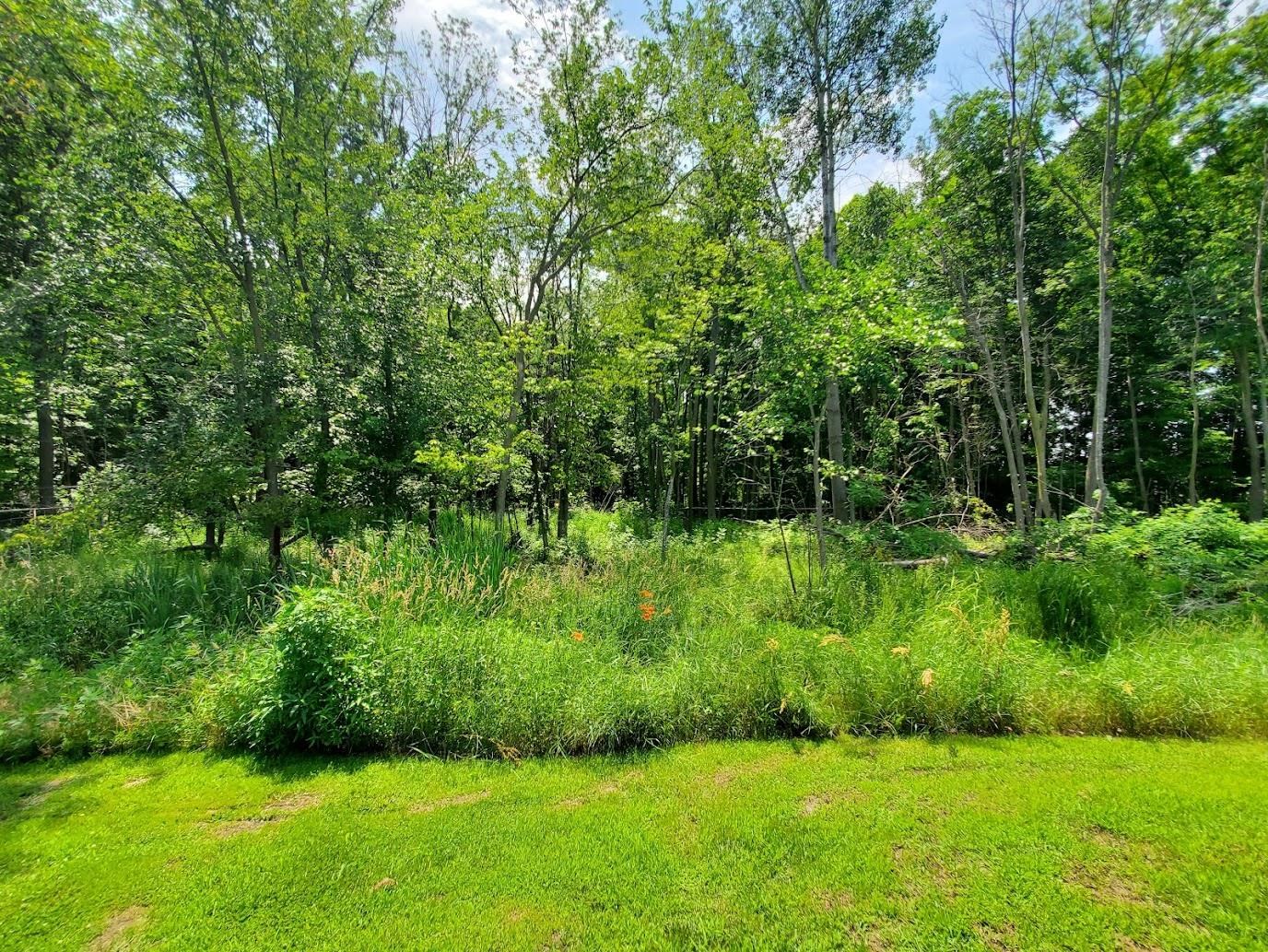 W8297 County Rd I Clintonville, WI 54929 - Photo 48 of 50