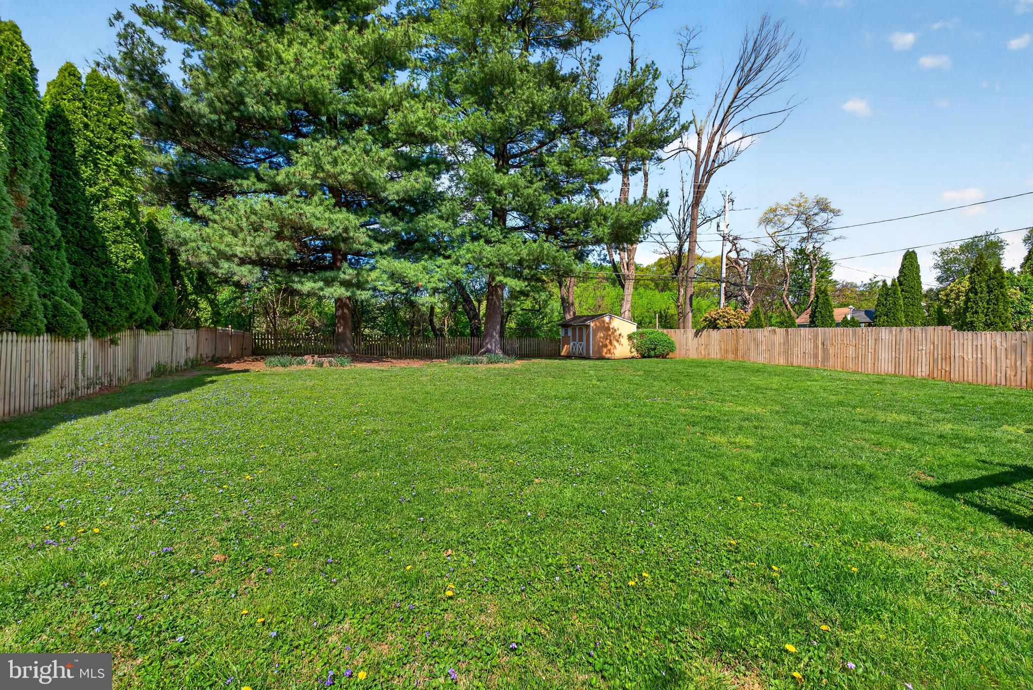 264 East Padonia Road Cockeysville, MD 21030 - Photo 45 of 53 a view of a yard with a tree