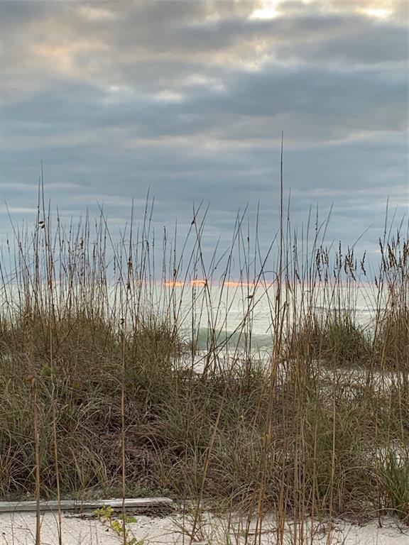 8990 Seagrape Lane Boca Grande, FL 33921 - Photo 8 of 12