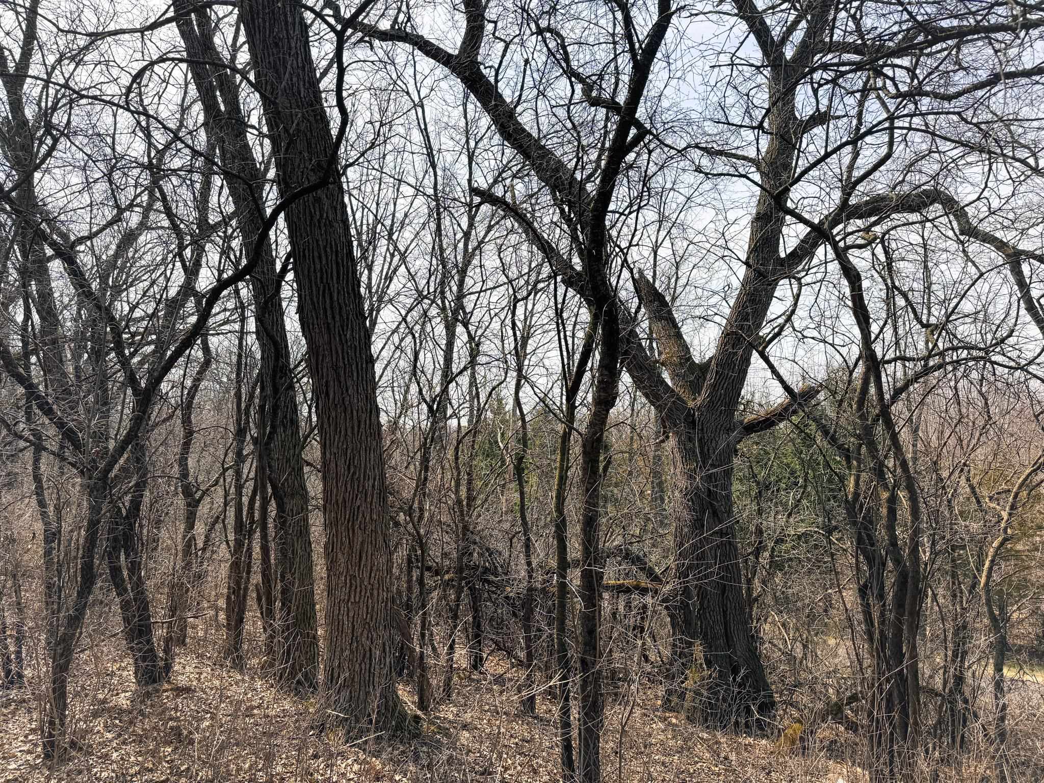 W7939 Territorial Road Delavan, WI 53115 - Photo 81 of 89