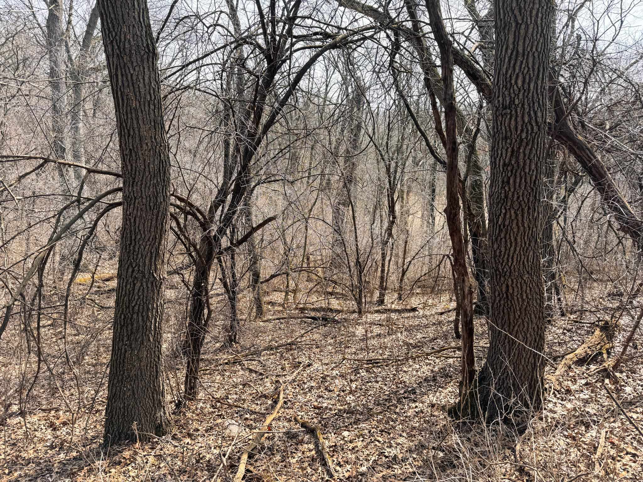 W7939 Territorial Road Delavan, WI 53115 - Photo 82 of 89