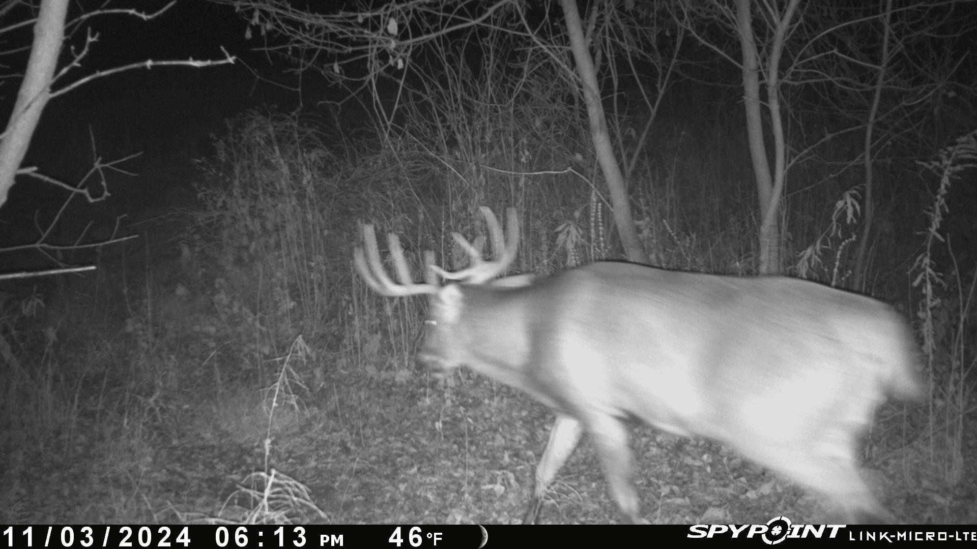 W7939 Territorial Road Delavan, WI 53115 - Photo 86 of 89