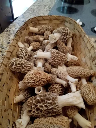 $599,000 | W7939 Territorial Road, Delavan, WI 53115