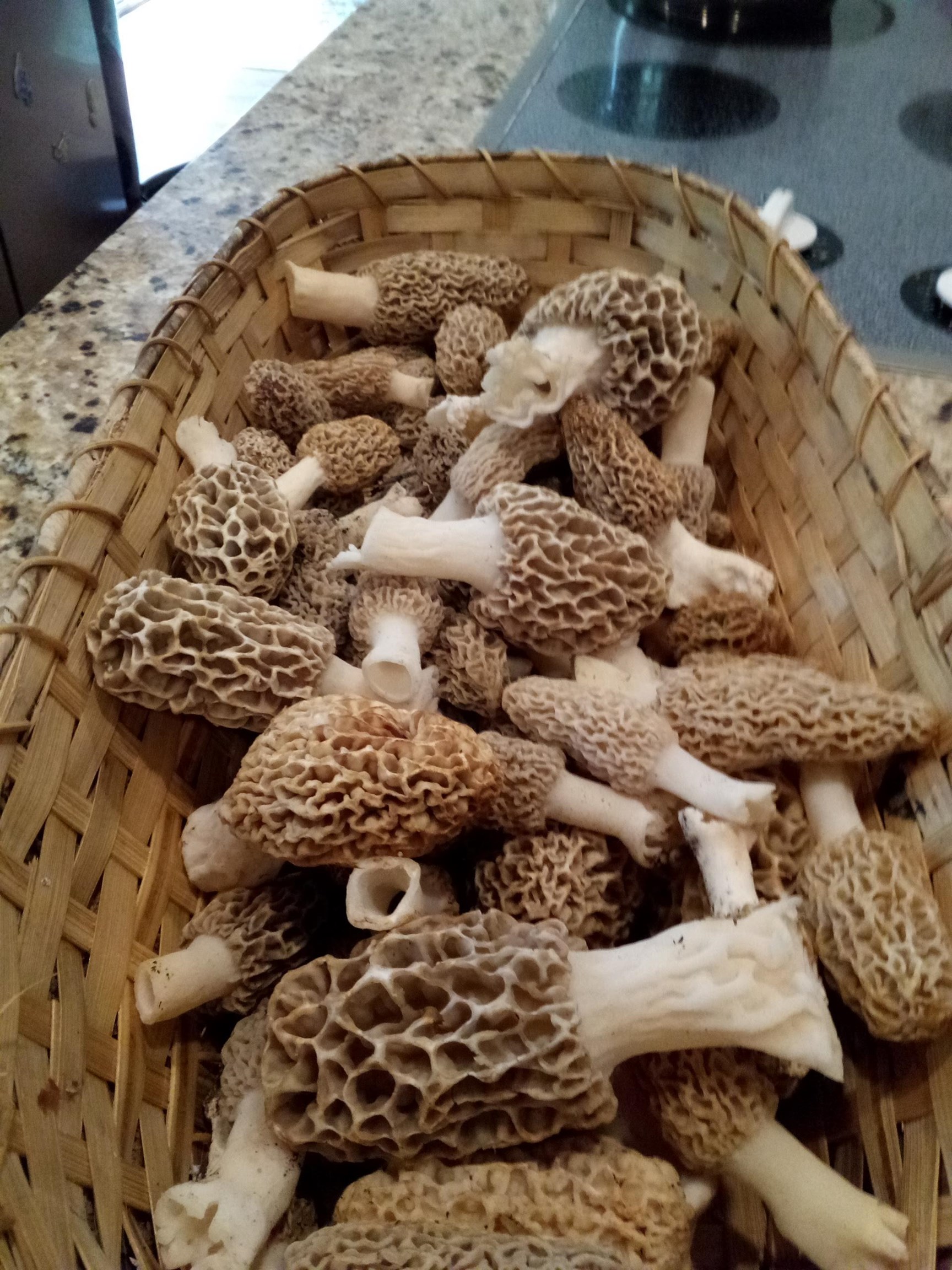 W7939 Territorial Road Delavan, WI 53115 - Photo 87 of 89