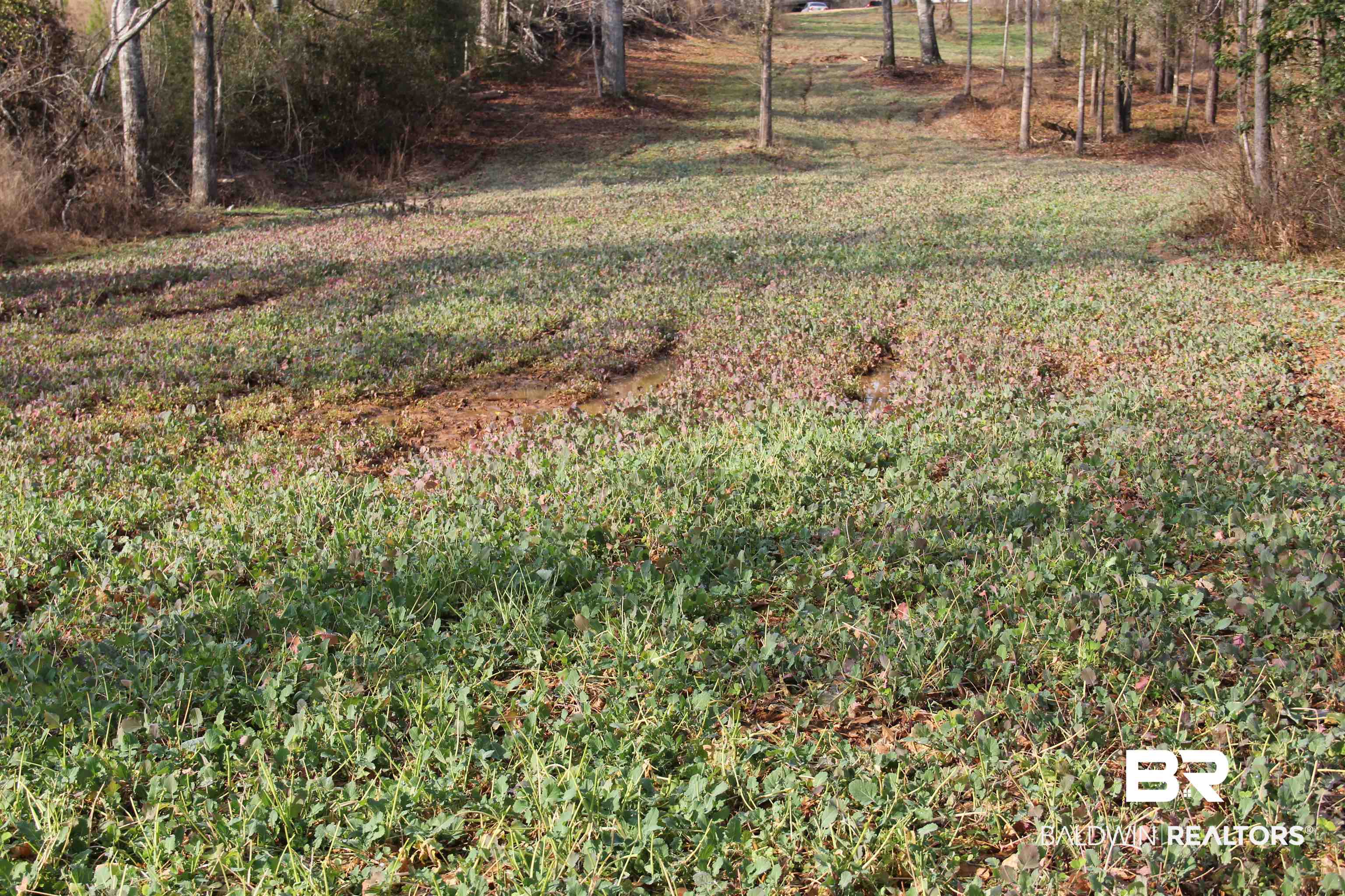 1485 Ramah Road Evergreen, AL 36401 - Photo 8 of 44