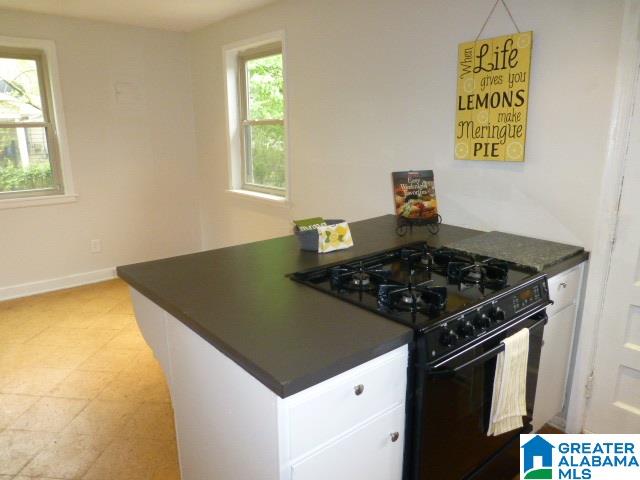4416 Montevallo Road Birmingham, AL 35213 - Photo 4 of 13