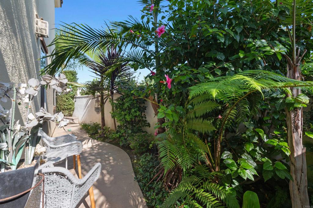 4260 C. Del Vista Oceanside, CA 92057 - Photo 32 of 38 a picture of plants