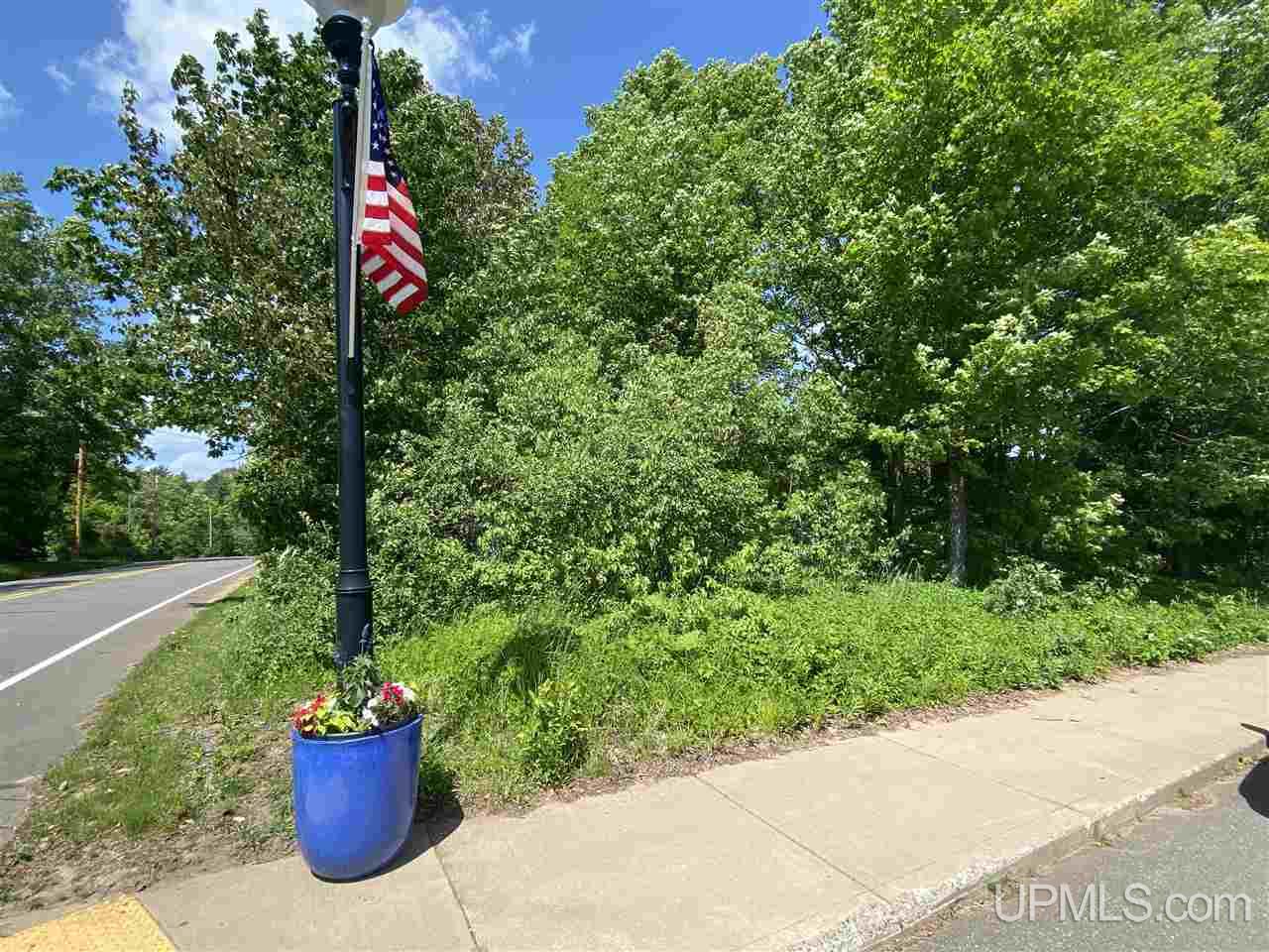 Tbd West Main Street Michigamme, MI 49861 - Photo 1 of 6
