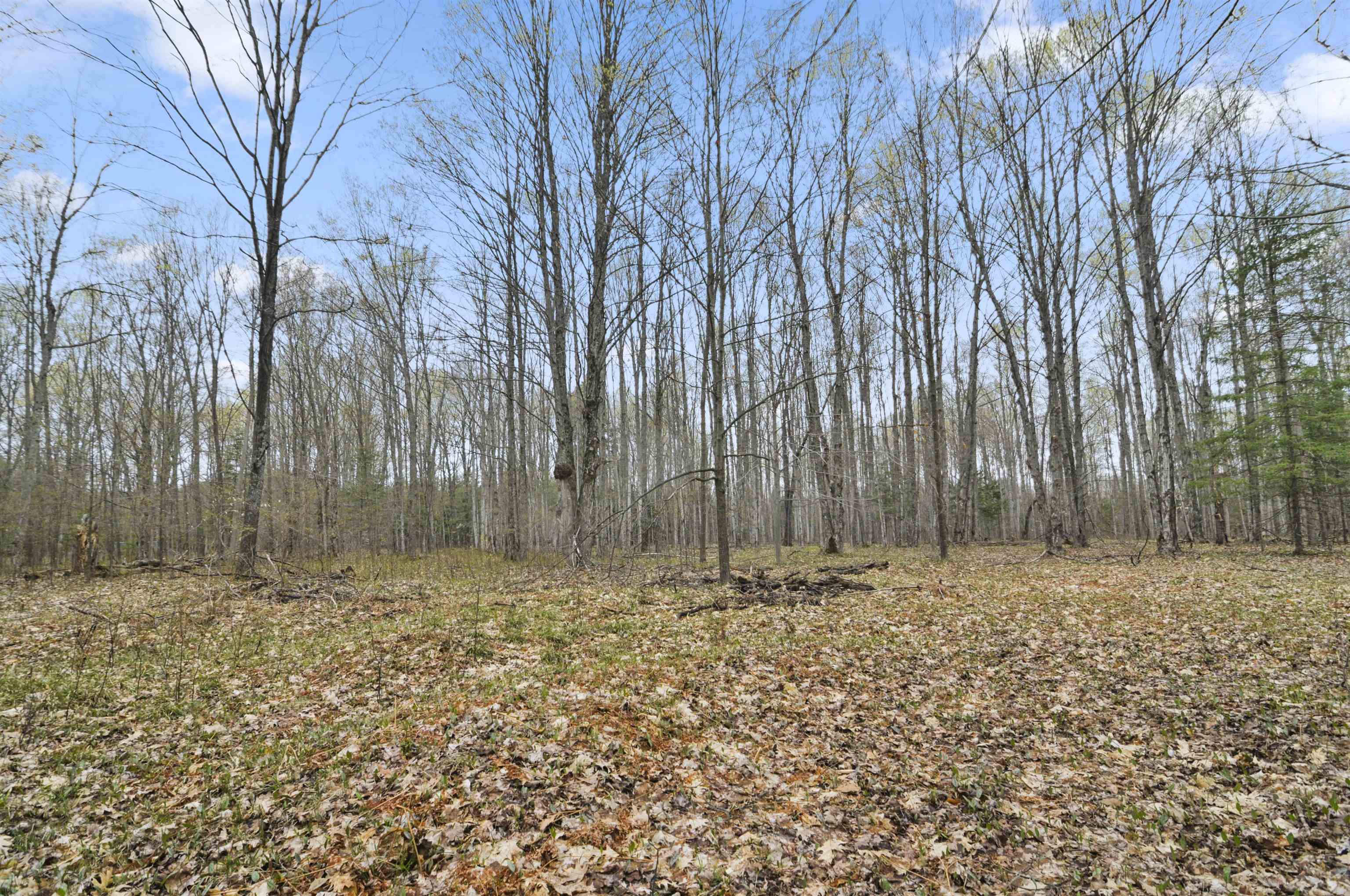 2561 East Johnson Road Lake City, MI 49651 - Photo 46 of 63