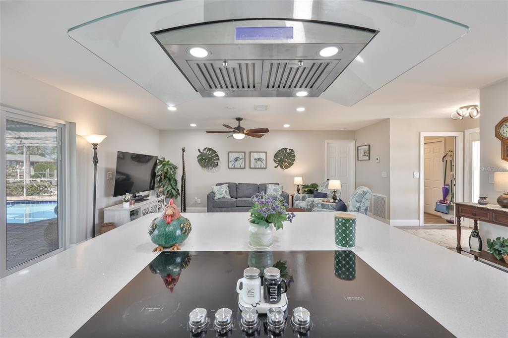 6518 Senegal Palm Way Apollo Beach, FL 33572 - Photo 12 of 61