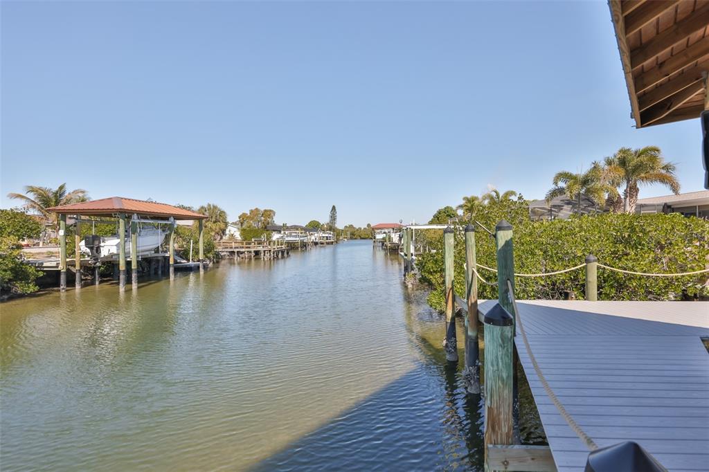 6518 Senegal Palm Way Apollo Beach, FL 33572 - Photo 4 of 61