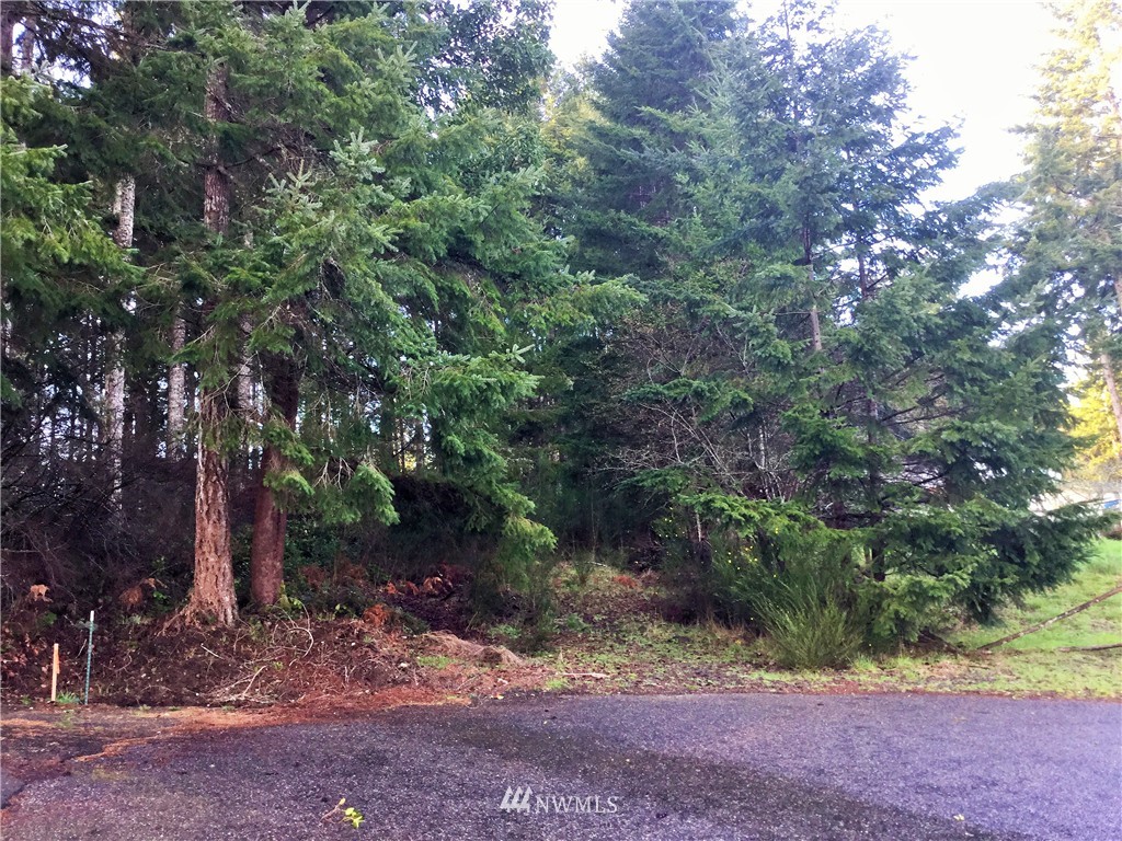 14 East Rauschert Road Grapeview, WA 98546 - Photo 5 of 12 Gallery Image 5