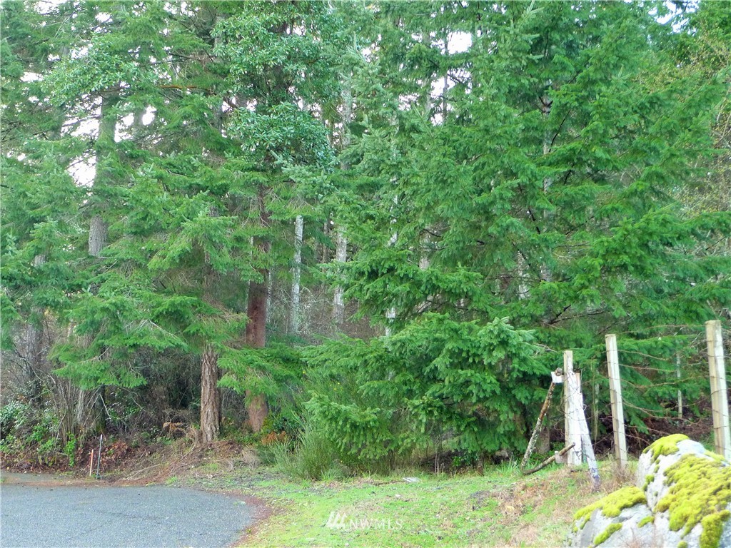 14 East Rauschert Road Grapeview, WA 98546 - Photo 6 of 12 Gallery Image 6