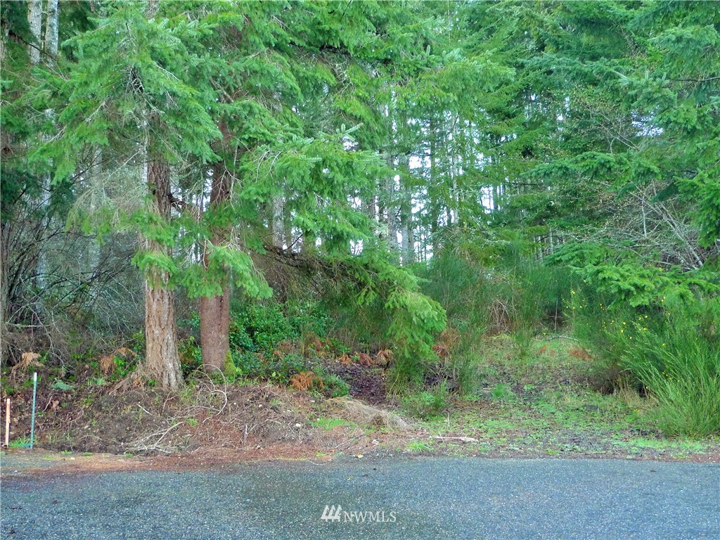 14 East Rauschert Road Grapeview, WA 98546 - Photo 7 of 12 Gallery Image 7