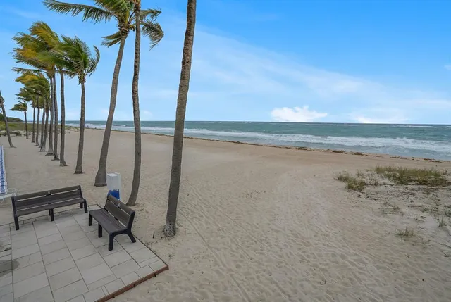 a hallway with painting on the wall and a potted plant